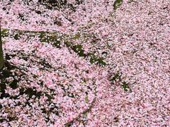 -苏州河梦清园环保主题公园