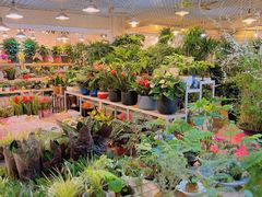 -双季花艺园艺市场(浦东店)
