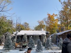 -HERRE·FARM 赫尔露营农场·团建聚会包场