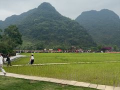 -靖西鹅泉风景区