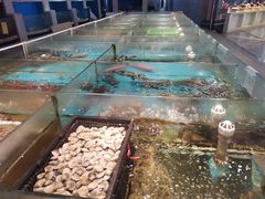 -龙景轩大酒店(宝杨路店)