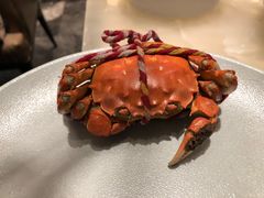 -长春富力万达文华酒店-集·味自助餐厅
