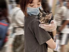 -屋虎猫馆(宝安大仟里店)
