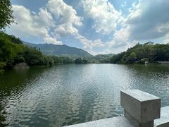 -深圳仙湖植物园