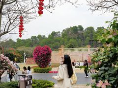 -东莞植物园