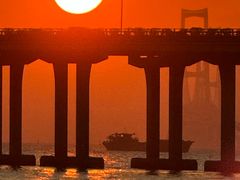 -宝安西湾红树林湿地公园