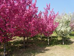 -国家植物园南园