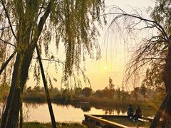 -白鹭湾湿地公园