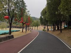 -牛岗山公园