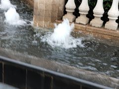 -美的鹭湖森林度假区