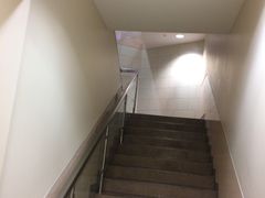 -谢列梅捷沃国际机场