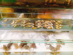 -339旋转餐厅(天府熊猫塔店)