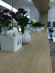 -THE LOG SALON 记录