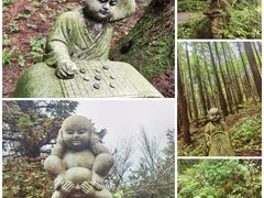 -武陵山森林公园