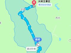 -天目山大树王景区