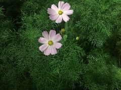 -回龙观体育文化公园