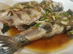 android_upload_pic-南花桥羊肉馆老字号(乌镇店)