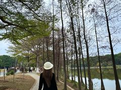 -东莞植物园