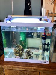 -椿树下·Tattoo纹身工作室