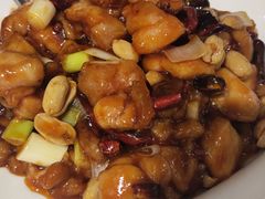宫保鸡丁-峨嵋酒家总店(车公庄店)