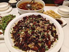 -三猫黑鱼花(南大店)