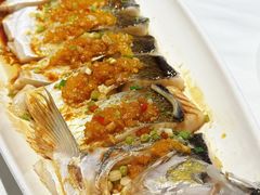 黄椒酱蒸大白鱼-扶摇湘宴·烤鸭·湘粤宴(中关村·北大店)
