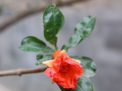 -三里河公园