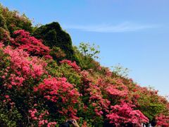 -木兰云雾山