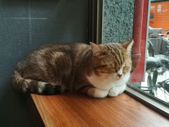 -咖法森林·咖啡  酒吧(天河店)
