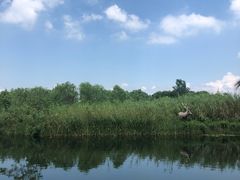 -溱湖国家湿地公园