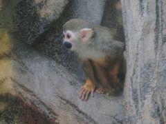 -泉州海丝野生动物世界