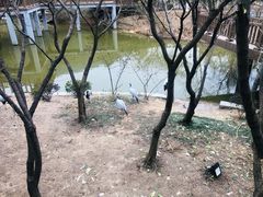 -无锡动物园·太湖欢乐园