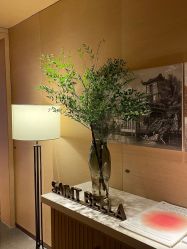 -圣贝拉母婴护理中心(广州瑰丽店)