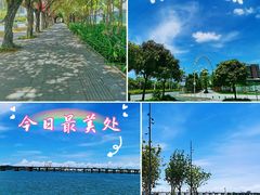 -宝安西湾红树林湿地公园