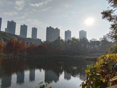 -重庆彩云湖湿地公园