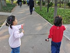 -大兴滨河森林公园