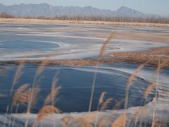 -野鸭湖国家湿地公园