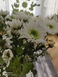 -HEYAN荷妍专业脱毛连锁机构