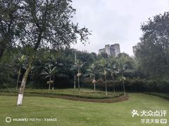 -龙头寺公园