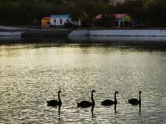 -水上乐园·欢乐世界