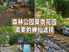 -上海共青森林公园