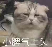 -丹世红酒庄·烧烤·团建·婚礼·水上运动