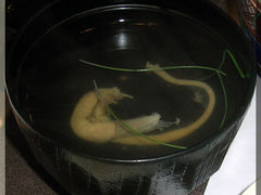 -竹叶亭(银座店)