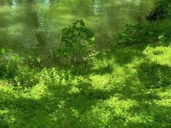 -西溪南古村落景区