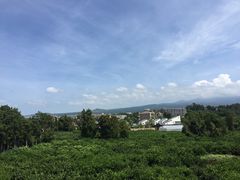 -朝安泰迪熊博物馆
