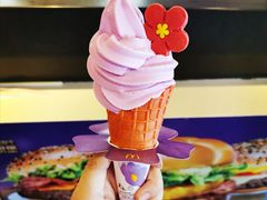 -麦当劳(保定裕华路店)