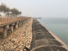 -东疆建设开发纪念公园