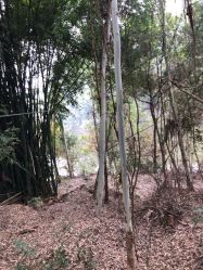 -成都飞越丛林探险乐园(锦绣城园区)