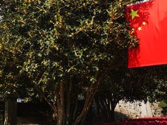 -中南财经政法大学(首义校区)