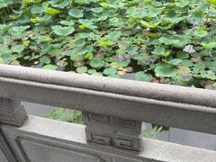 -荔湾湖公园